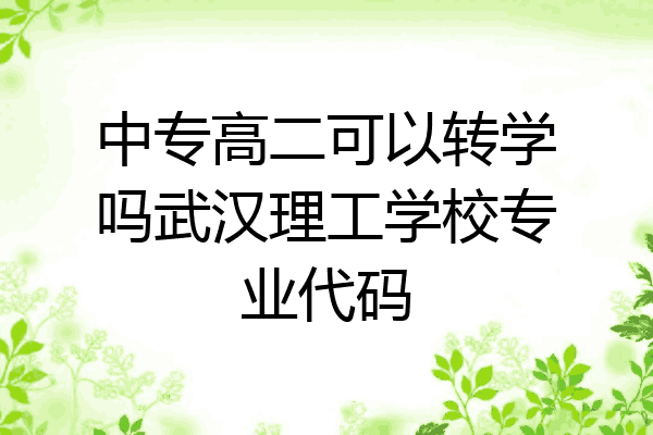 中专高二可以转学吗武汉理工学校专业代码