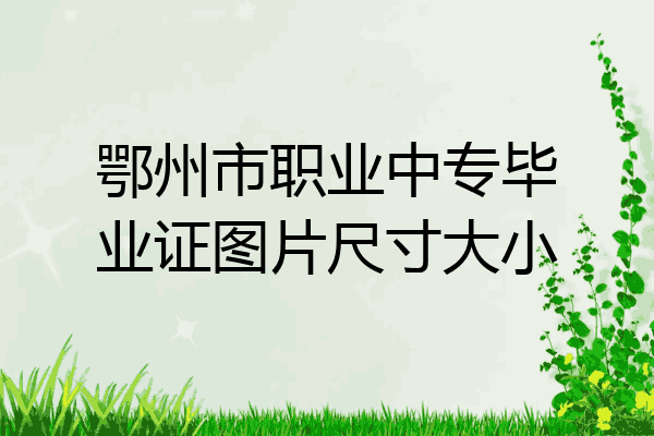 鄂州市职业中专毕业证图片尺寸大小