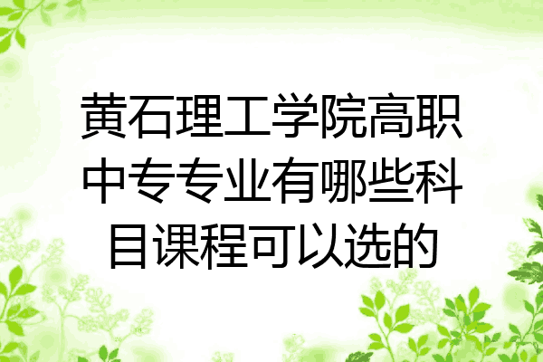 黄石理工学院高职中专专业有哪些科目课程可以选的