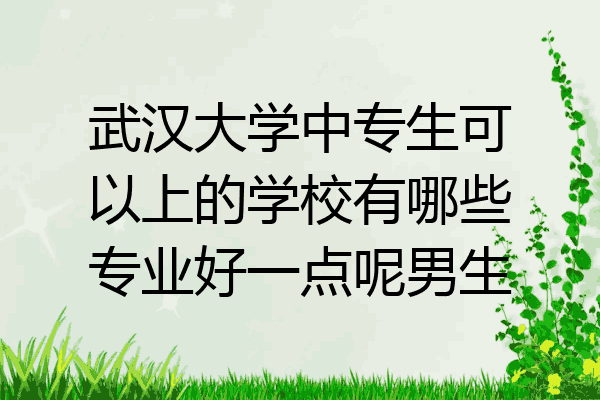 武汉大学中专生可以上的学校有哪些专业好一点呢男生