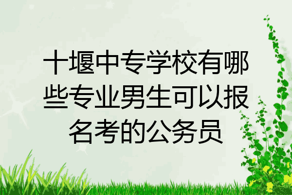 十堰中专学校有哪些专业男生可以报名考的公务员