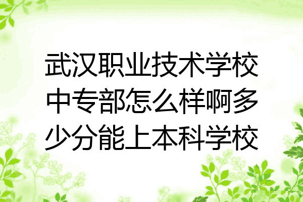 武汉职业技术学校中专部怎么样啊多少分能上本科学校