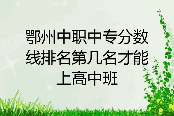鄂州中职中专分数线排名第几名才能上高中班