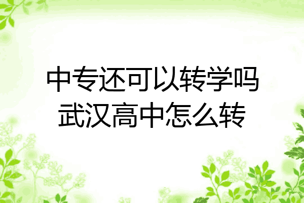 中专还可以转学吗武汉高中怎么转