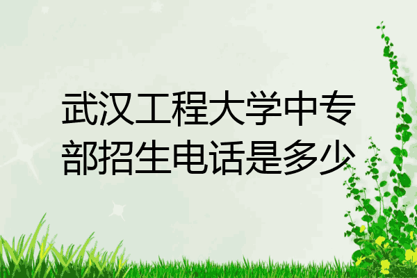 武汉工程大学中专部招生电话是多少
