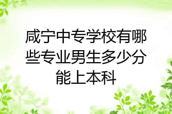 咸宁中专学校有哪些专业男生多少分能上本科