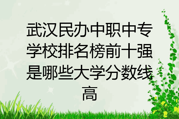 武汉民办中职中专学校排名榜前十强是哪些大学分数线高