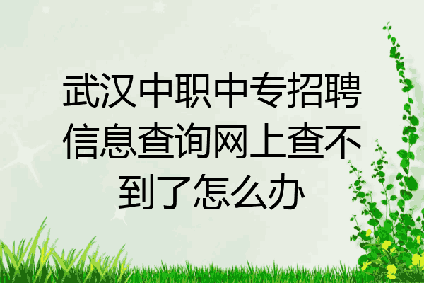 武汉中职中专招聘信息查询网上查不到了怎么办