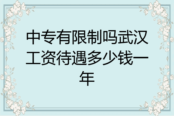 中专有限制吗武汉工资待遇多少钱一年