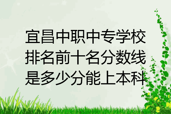 宜昌中职中专学校排名前十名分数线是多少分能上本科