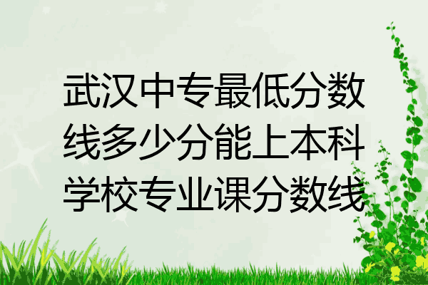 武汉中专最低分数线多少分能上本科学校专业课分数线