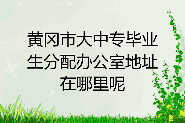 黄冈市大中专毕业生分配办公室地址在哪里呢