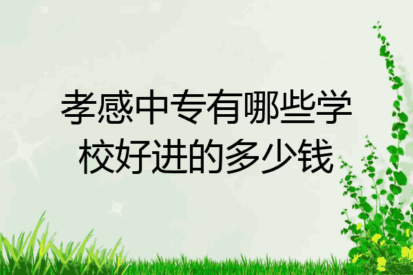 孝感中专有哪些学校好进的多少钱