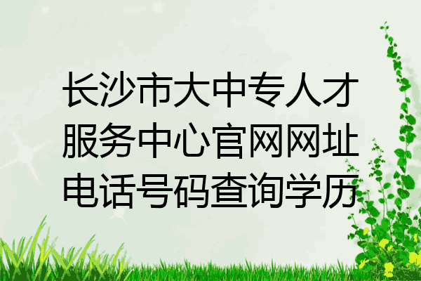 长沙市大中专人才服务中心官网网址电话号码查询学历