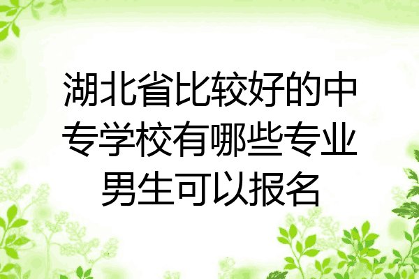 湖北省比较好的中专学校有哪些专业男生可以报名