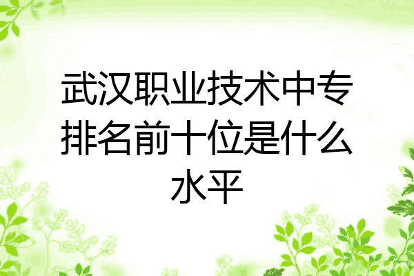武汉职业技术中专排名前十位是什么水平