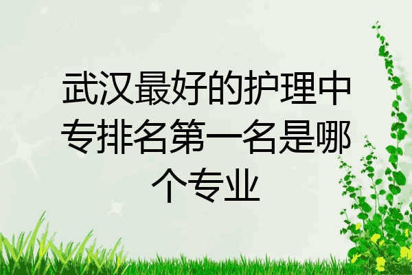 武汉最好的护理中专排名第一名是哪个专业