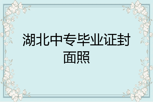 湖北中专毕业证封面照