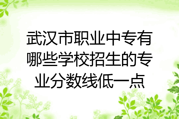 武汉市职业中专有哪些学校招生的专业分数线低一点