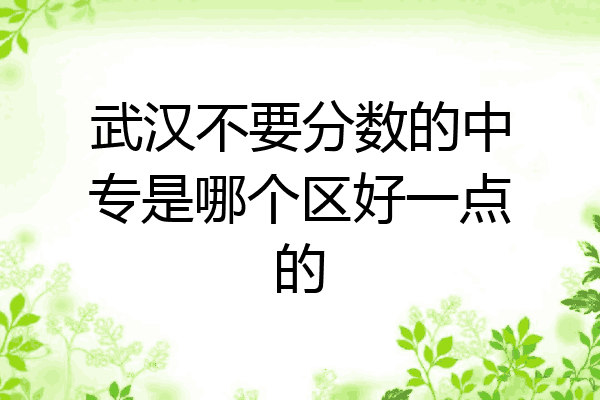 武汉不要分数的中专是哪个区好一点的
