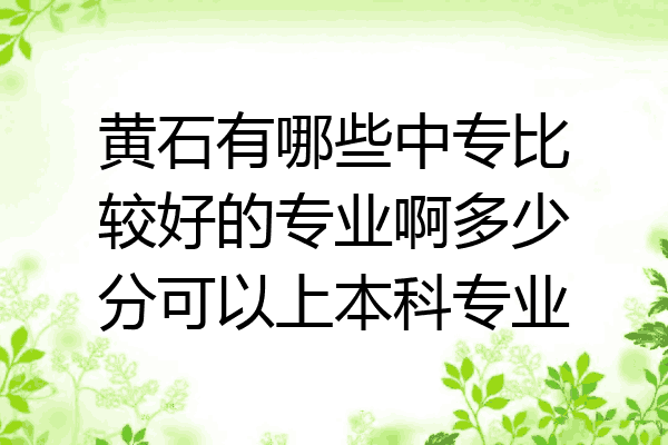 黄石有哪些中专比较好的专业啊多少分可以上本科专业