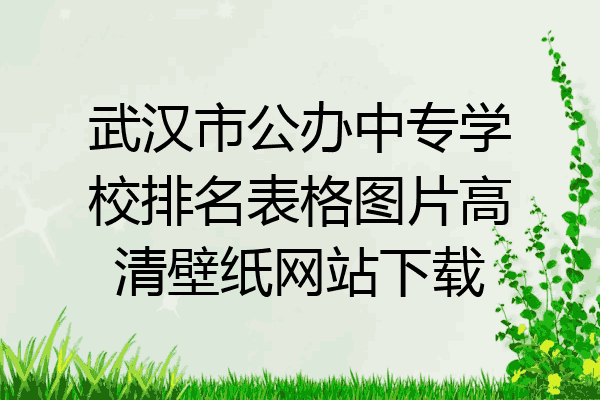 武汉市公办中专学校排名表格图片高清壁纸网站下载