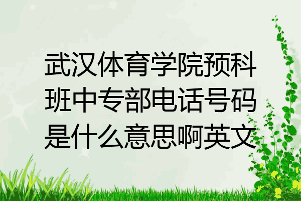 武汉体育学院预科班中专部电话号码是什么意思啊英文