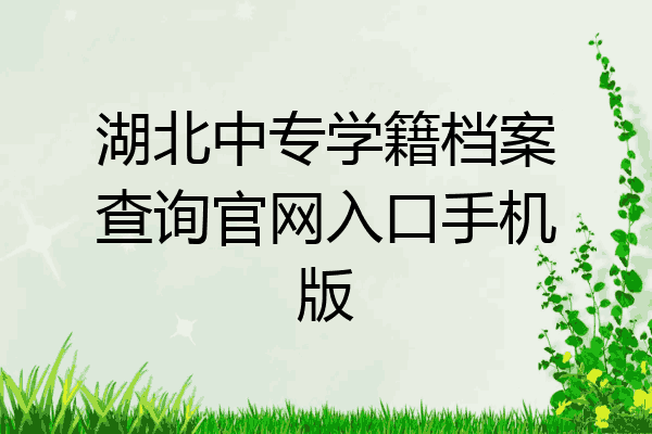 湖北中专学籍档案查询官网入口手机版