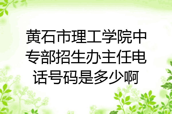 黄石市理工学院中专部招生办主任电话号码是多少啊