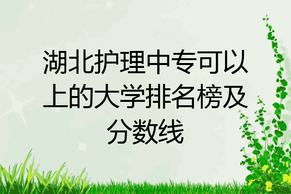 湖北护理中专可以上的大学排名榜及分数线