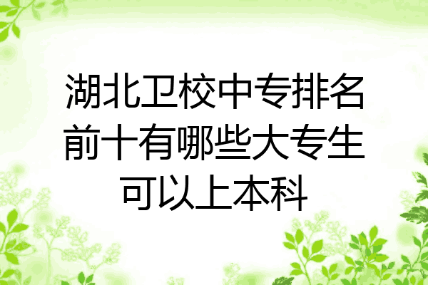湖北卫校中专排名前十有哪些大专生可以上本科