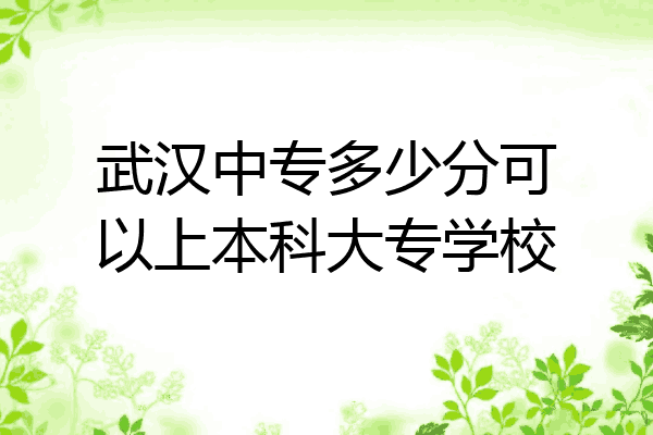 武汉中专多少分可以上本科大专学校
