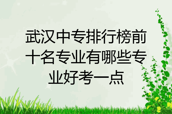 武汉中专排行榜前十名专业有哪些专业好考一点