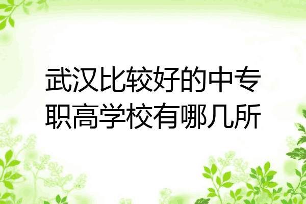 武汉比较好的中专职高学校有哪几所