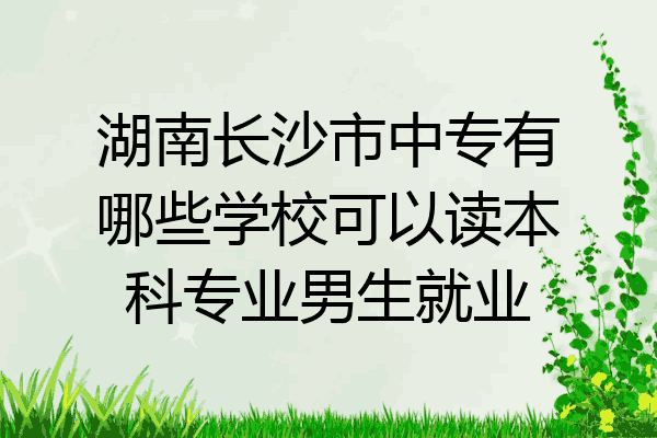湖南长沙市中专有哪些学校可以读本科专业男生就业