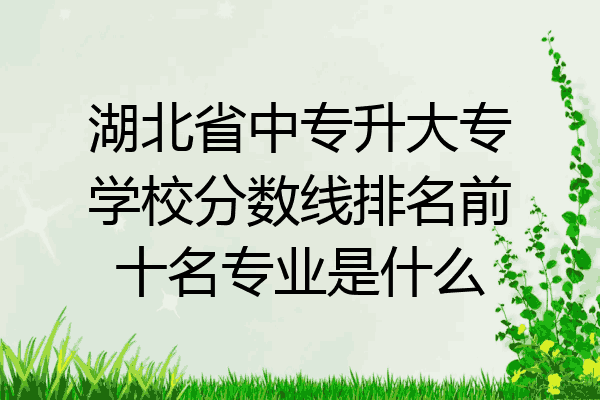 湖北省中专升大专学校分数线排名前十名专业是什么