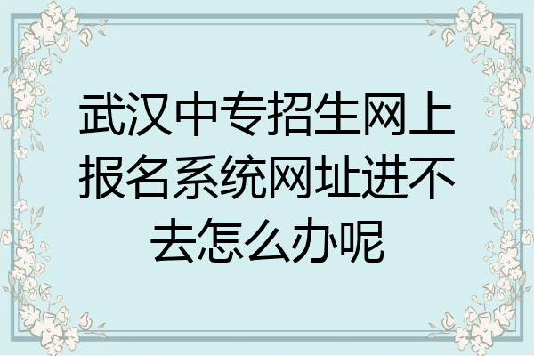 武汉中专招生网上报名系统网址进不去怎么办呢