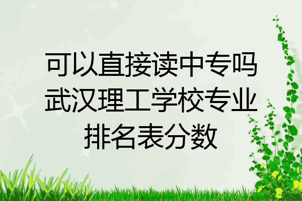 可以直接读中专吗武汉理工学校专业排名表分数