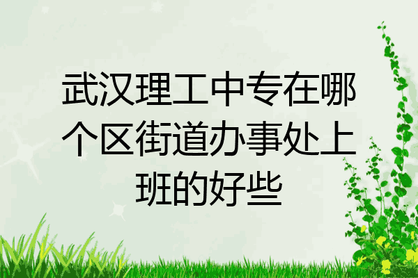 武汉理工中专在哪个区街道办事处上班的好些