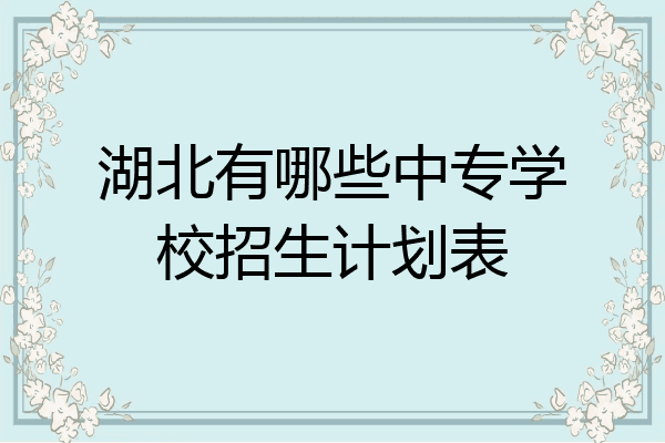 湖北有哪些中专学校招生计划表