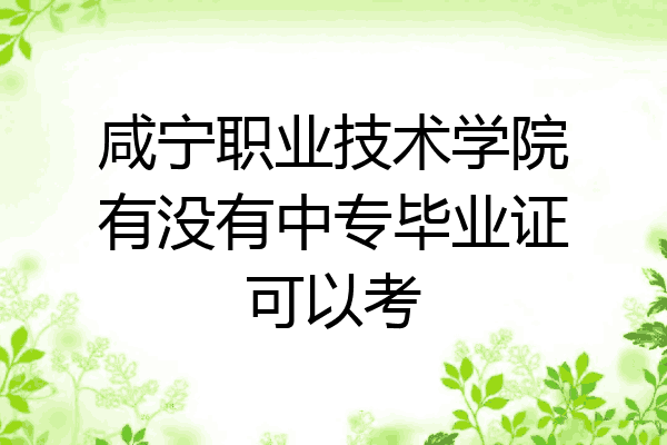 咸宁职业技术学院有没有中专毕业证可以考