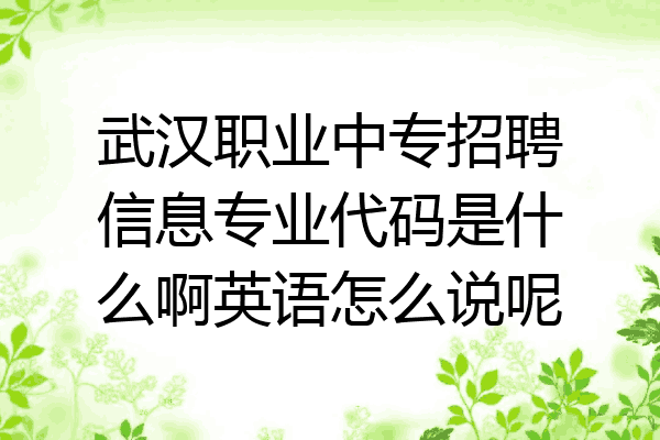 武汉职业中专招聘信息专业代码是什么啊英语怎么说呢