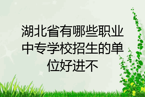 湖北省有哪些职业中专学校招生的单位好进不