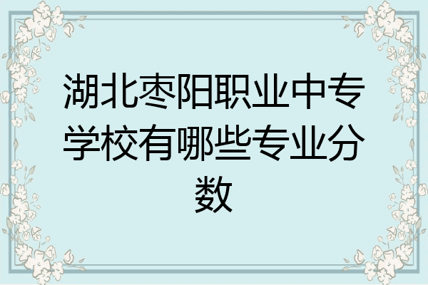 湖北枣阳职业中专学校有哪些专业分数