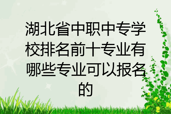 湖北省中职中专学校排名前十专业有哪些专业可以报名的