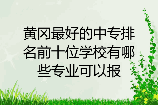 黄冈最好的中专排名前十位学校有哪些专业可以报