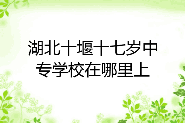 湖北十堰十七岁中专学校在哪里上