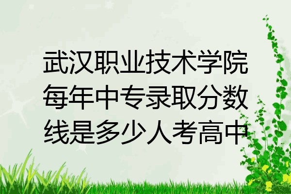 武汉职业技术学院每年中专录取分数线是多少人考高中
