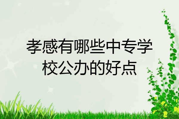孝感有哪些中专学校公办的好点