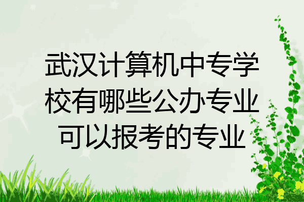 武汉计算机中专学校有哪些公办专业可以报考的专业